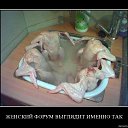 ���� Jonny .D., �����������, 53 ���� - ��������� 7 ������� 2016 � ������ ������ ��������