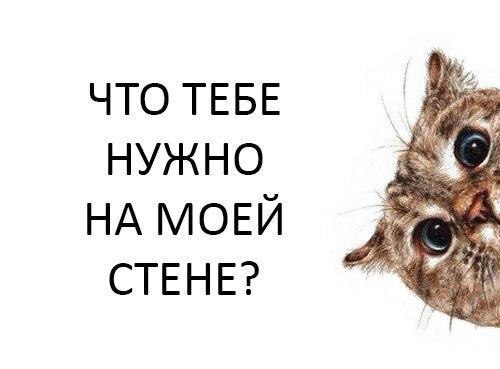    :D - 11  2015  07:04