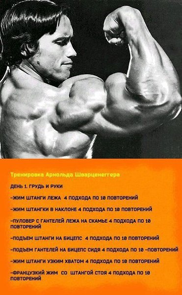 Тренировка на массу от Арнольда Шварценеггера.#SPORT_тренировки@sports_is_life