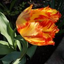 ���� ����, ������-��-����, 56 ��� - ��������� 6 ������� 2015