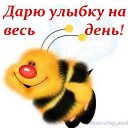 ���� ����, ������� - ��������� 28 ������� 2015 � ������ ���� ����������