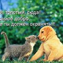 ���� �����, ������ - ��������� 26 �������� 2015