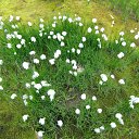 ����� ������ ������ �� ������� ���� ����������