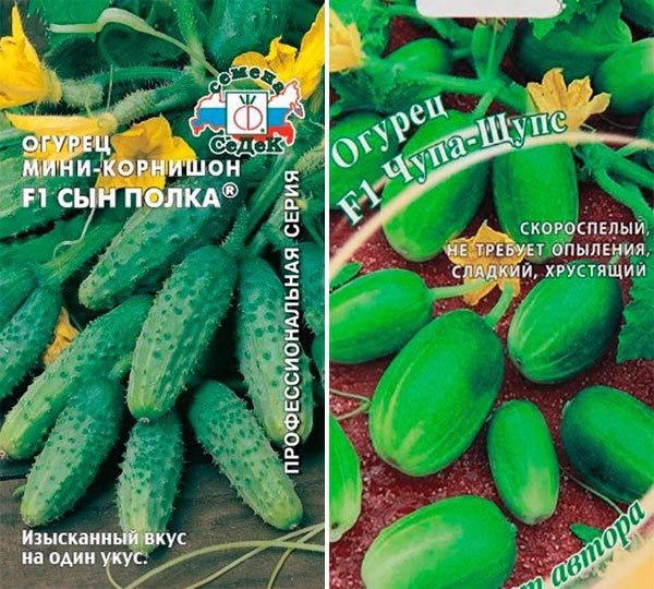 Что курят селекционеры? В этом году мне привалило счастье в виде парочки теплиц, в которые надо ... - 2