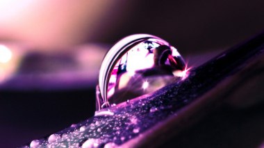  ! - 8  2016  19:30