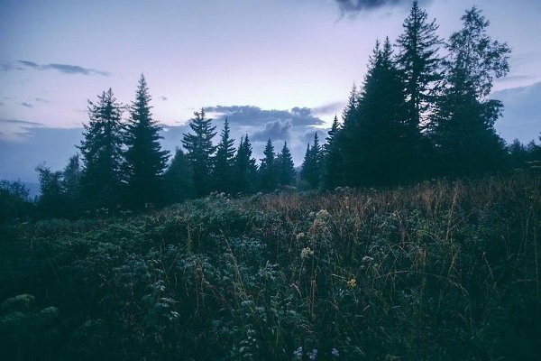 , .#@travel.blog - 8