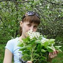 ���� �����, �������, 41 ��� - ��������� 18 ������� 2016