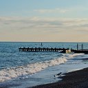  , , 60  -  10  2016     ,08.02.16.