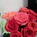  Svetlana Lana,  , 50  -  3  2016    