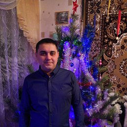 ����, �����������, 41 ���