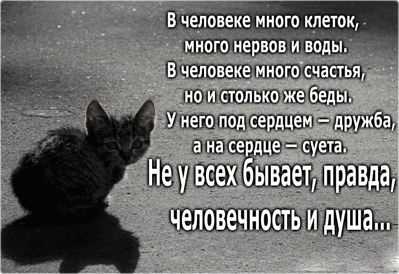  - 26  2015  21:14