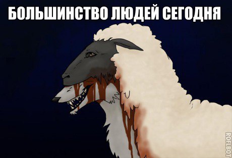  - ,  - 9  2016  06:08