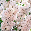 ���� ���������, ������, 61 ��� - ��������� 14 ������� 2015 � ������ ������ ��������