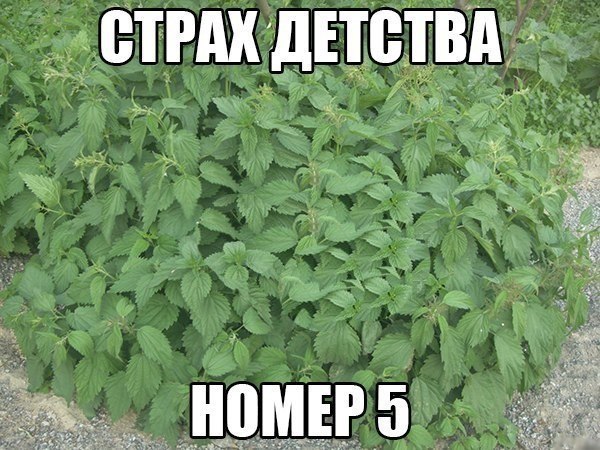    ! - 6