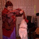 ���� �����, �����������, 34 ���� - ��������� 26 ������� 2015 � ������ ���� ����������