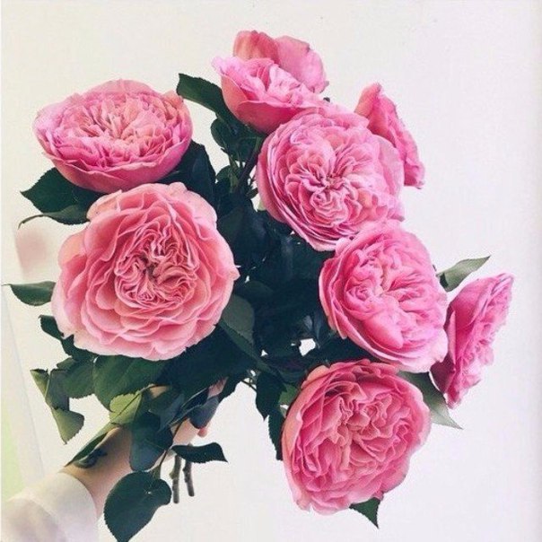    - 22  2015  03:03 - 3