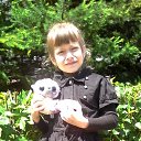 ���� ����, ���������, 43 ���� - ��������� 10 ������ 2015 � ������ ���� ����������