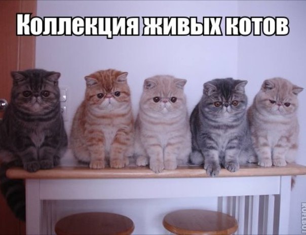 ��� ���� � ����� �� �� - 26 �������� 2015 � 19:01