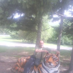 ���� �����, �����������-��-�����, 54 ���� - ��������� 20 ������� 2015