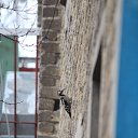 ���� ��������, ���������, 48 ��� - ��������� 29 ������� 2015 � ������ ���� ����������