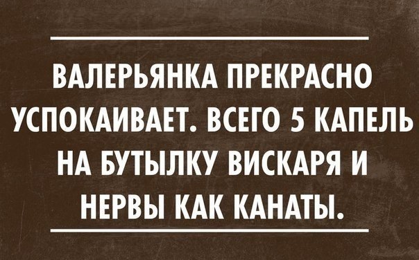   - 31  2015  13:05