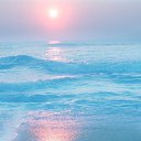 ���� �����, ������ - ��������� 31 ������ 2016