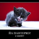 ���� ���������, �����-���������, 57 ��� - ��������� 19 ������� 2015 � ������ ���� ����������