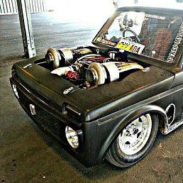 ������, �����-���������, 36 ���