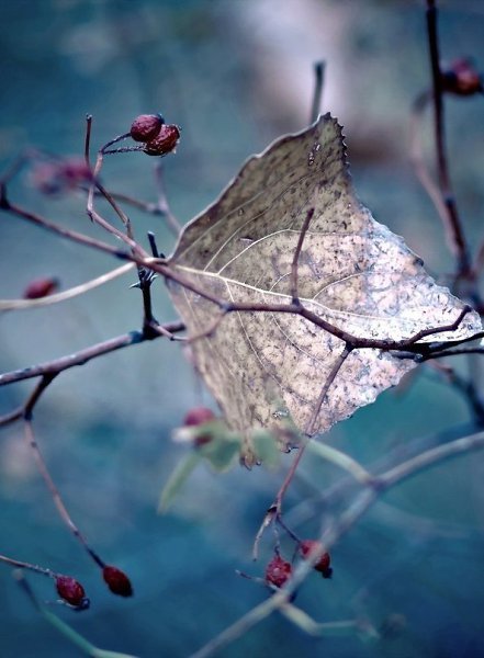 ����� ���� �����.. - 3 ����� 2016 � 22:53 - 5