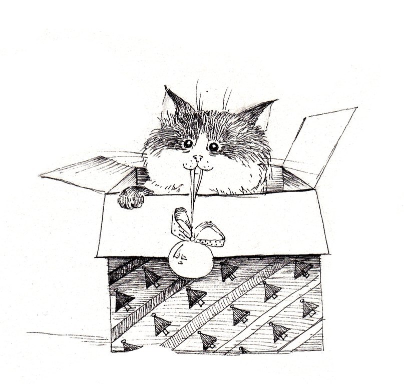   - 2
