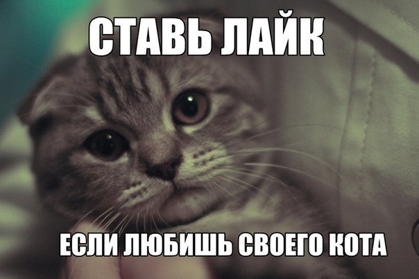   - 3  2015  04:11