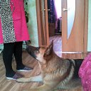 ���� ����, �����, 60 ��� - ��������� 2 ����� 2016 � ������ ���� ����������