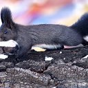 ���� ����, �������, 47 ��� - ��������� 10 ������� 2015 � ������ ������ ��������