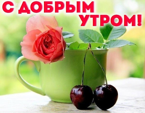 Я угощу вас чаем из мечты, Налью побольше веры и надежды И, согревая солнцем золотым, В него добавлю ...