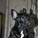 ���� ��������, �����, 47 ��� - ��������� 10 ������� 2016 � ������ ���� ����������