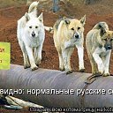  , - -  25  2016   Ż