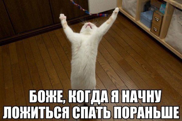  , ..