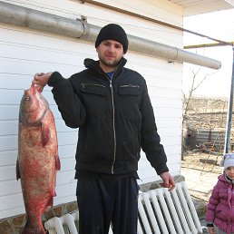 �����, ������, 40 ���