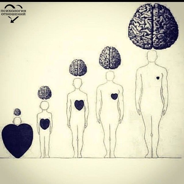 , , . - 30  2015  11:18
