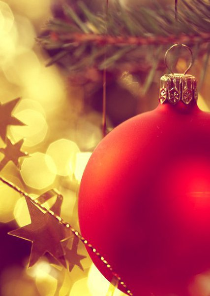   - 24  2015  07:31 - 4