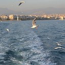 ���� Carisma35, ����, 48 ��� - ��������� 3 ������ 2016 � ������ ���� ����������