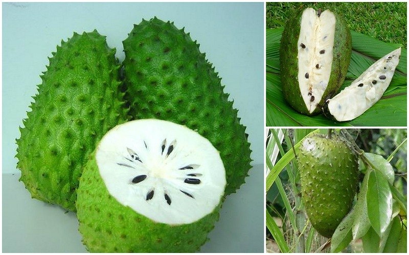 Фрукт, который лечит рак! Фрукт, который лечит рак и его действие в 10.000 раз мощнее химиотерапии. ...