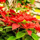 ���� ������, ������, 43 ���� - ��������� 2 ������� 2015 � ������ ���� �����������