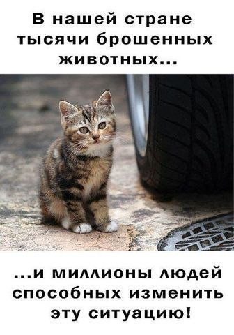       - 13  2015  12:03