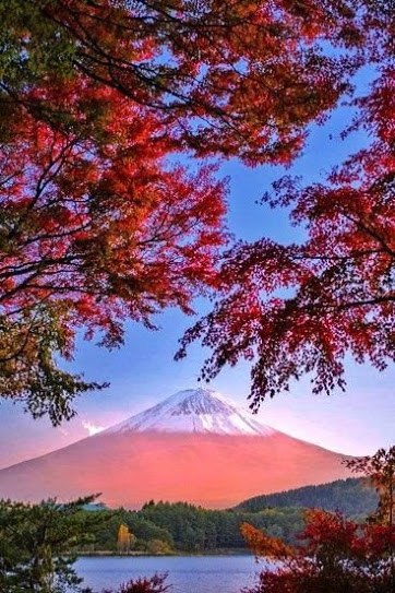 ๑۩۞۩• ๑۩۞۩๑ - 28  2016  20:18