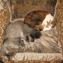 ���� ������. �� �����., ���� - ��������� 5 ������ 2016 � ������ ������ ��������