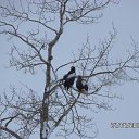 ���� �����, ������ - ��������� 4 ������� 2016 � ������ ���� ����������