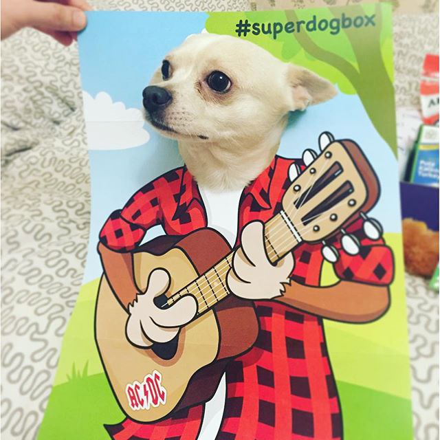 А Вы хотите порадовать вашу собачку уникальной коробочкой, которая принесет ей массу радости и ... - 2