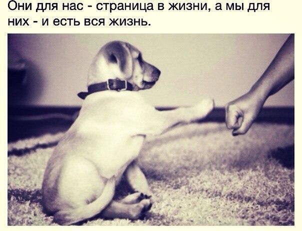 ...����� ���� �� ������� ���, ��� ��� �� ������