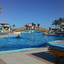 ���� Alex, ������, 65 ��� - ��������� 27 ������ 2016 � ������ �Egypt'16�